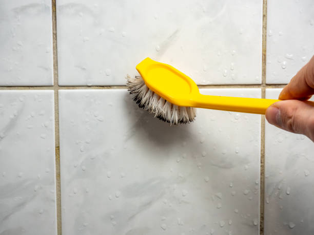 Professional Mold Remediation in Scott, LA