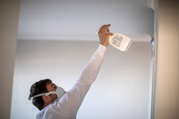 Best Post-Flood Mold Remediation in Scott, LA
